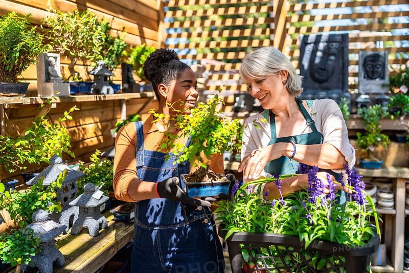 Two female garden center workers taking care of a bonsai tree and other plants in a sunny greenhouse