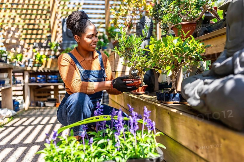 Gardener carefully holding a bonsai tree while working in a plant nursery, surrounded by various plants and flowers