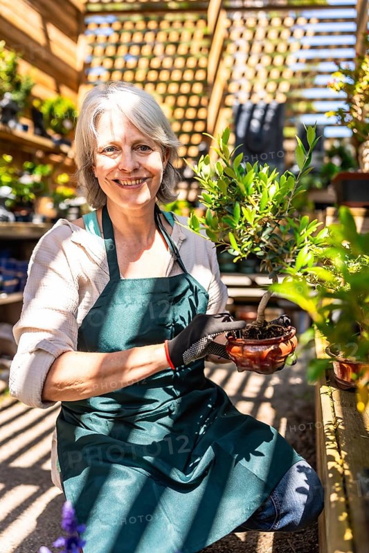 Smiling senior gardener woman wearing gloves and apron holding bonsai plant while working in greenhouse
