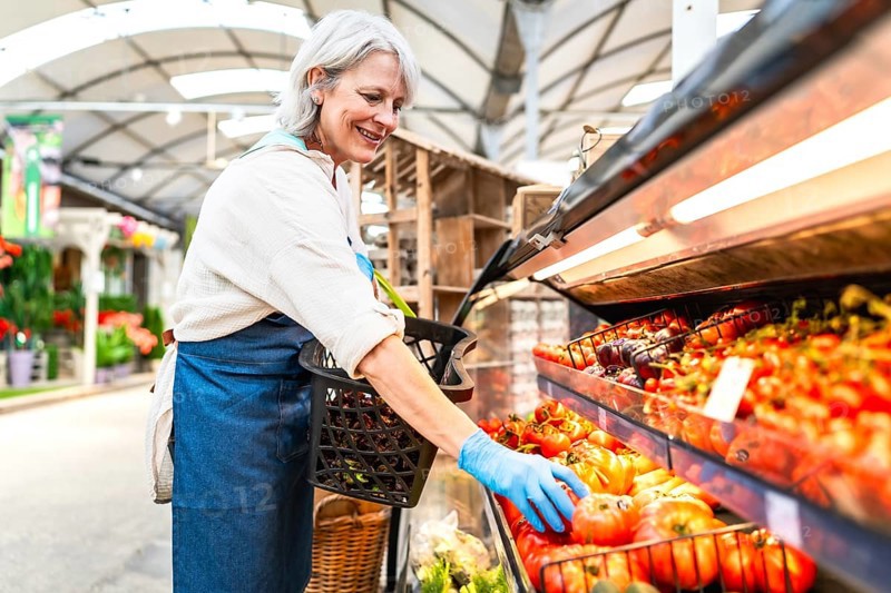 Senior greengrocer with gloves arranging fresh tomatoes on display at farmers market, small business and healthy organic food concept