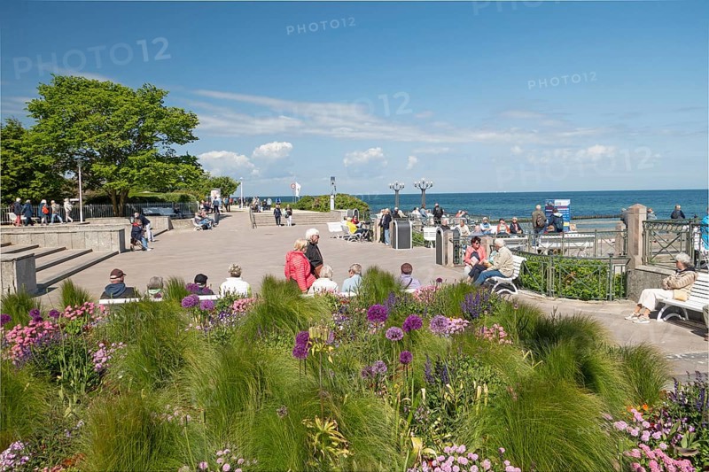 Flowers, pier forecourt, pier, Kühlunsborn Ost, Baltic Sea, Baltic Sea resort, Kühlungsborn, Rostock district, Mecklenburg-Western Pomerania, Germany