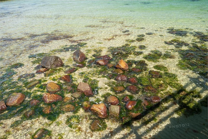 Clear Baltic Sea water, rocks, beach, Kühlunsborn Ost, Baltic Sea, Baltic Sea resort, Kühlungsborn, Rostock district, Mecklenburg-Western Pomerania, Germany