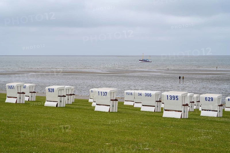 Beach chairs on the green beach, walker on the mudflats, fishing boat, Büsum, North Sea, Schleswig-Holstein, Germany