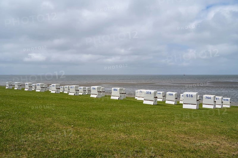 Beach chairs on the green beach, clouds in the sky, Büsum, North Sea, Schleswig-Holstein, Germany
