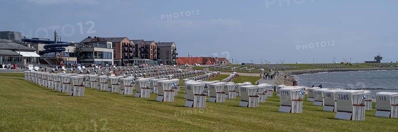 Beach chairs on the green beach, building on the promenade, Büsum, North Sea, Schleswig-Holstein, Germany