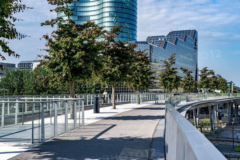 The Moreelsebrug, pedestrian and cyclist bridge over the tracks of Utrecht Centraal, Central Station, planted with trees, Rabobank building, Netherlands