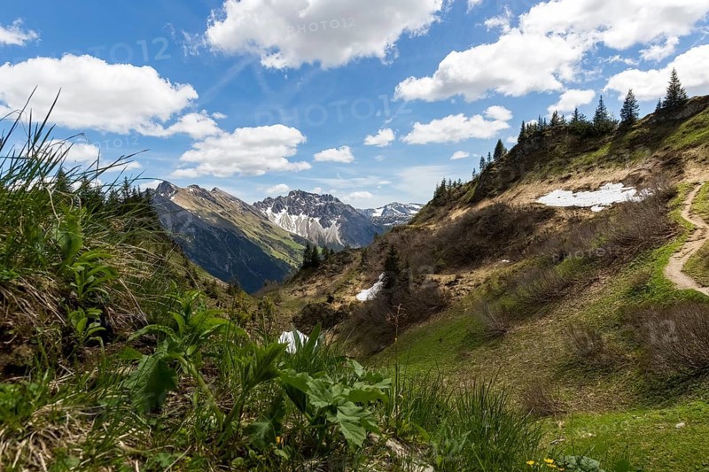 View of a wide, snow-covered mountain landscape with blossoming hills and a blue sky in Kleinwalsertal, Austria