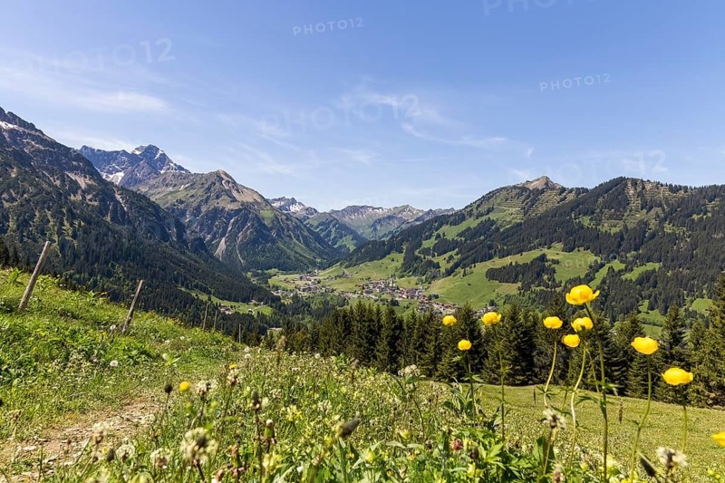 View down the valley to the village of Mittelberg with yellow flowers and mountain peaks in Kleinwalsertal, Austria