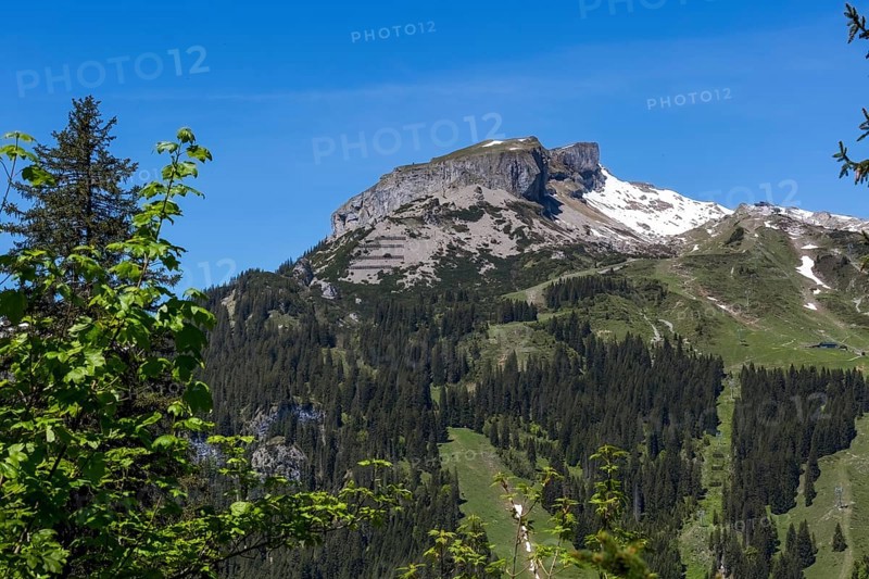 Striking mountain range of the Hohe Ifen and its Gottesacker plateau with snow in spring, surrounded by forests and clear skies in Kleinwalsertal, Austria