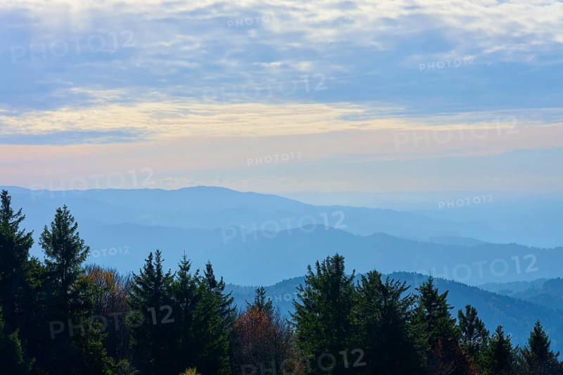 Misty mountain view over a forest with slightly overcast sky, Kandel, Waldkirch, Black Forest, Baden-Württemberg, Germany