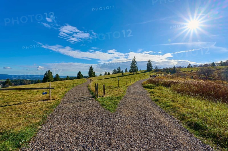 Kandel Höhenweg, fork in the road that splits, under a bright sun in a rural landscape, Kandel, Waldkirch, Black Forest, Baden-Württemberg, Germany