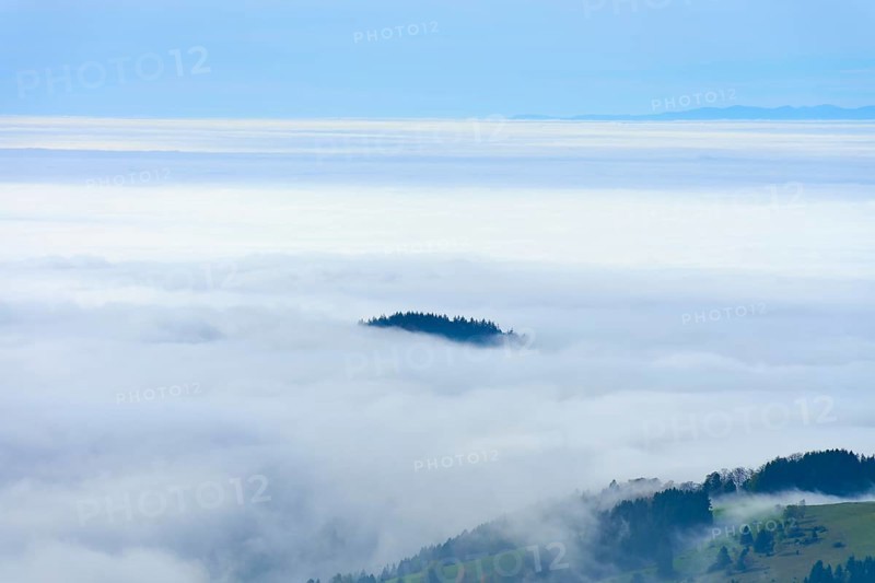 Foggy landscape with sea of clouds and scattered tree tops, Schauinsland, Freiburg im Breisgau, Black Forest, Baden-Württemberg, Germany