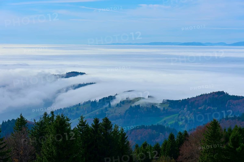 Forests and hills rise through dense fog under a clear sky, Schauinsland, Freiburg im Breisgau, Black Forest, Baden-Württemberg, Germany