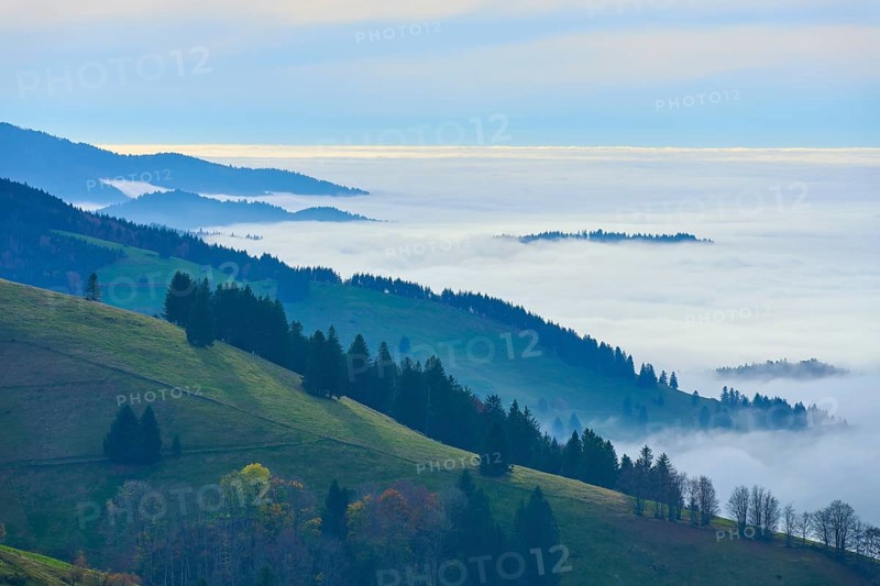 Fog-covered hills and forests under a blue sky, Schauinsland, Freiburg im Breisgau, Black Forest, Baden-Württemberg, Germany