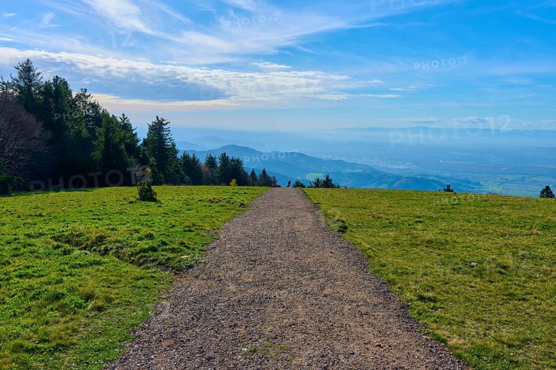 Kandelhöhenweg through green meadow under a blue sky, wide and peaceful landscape, Kandel, Waldkirch, Black Forest, Baden-Württemberg, Germany