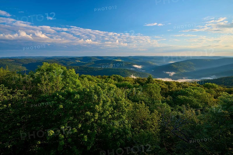 View over wooded and foggy hills under a clear sky, Katzenbuckel, Waldbrunn, Neckar-Odenwald-Kreis, Odenwald, Baden-Württemberg, Germany