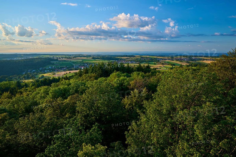 Wide landscape with forest and fields under a clear sky in daylight, Katzenbuckel, Waldbrunn, Neckar-Odenwald-Kreis, Odenwald, Baden-Württemberg, Germany