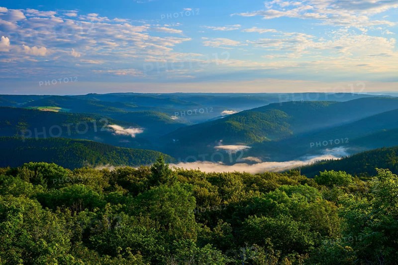 Green landscape with trees, light fog and peaceful blue sky, Katzenbuckel, Waldbrunn, Neckar-Odenwald-Kreis, Odenwald, Baden-Württemberg, Germany