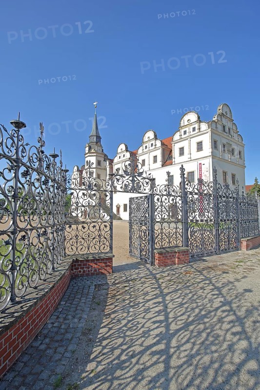 Johannbau built in 1556 Museum of City History, Renaissance, metal grating, metal fence, arts and crafts, ironwork, decorations, shadow, castle, Dessau, Dessau-Roßlau, Saxony-Anhalt, Germany