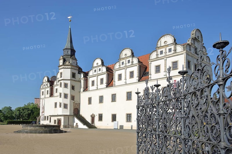 Johannbau built in 1556 Museum of City History, Renaissance, metal grating, metal fence, arts and crafts, ironwork, decorations, castle, Dessau, Dessau-Roßlau, Saxony-Anhalt, Germany