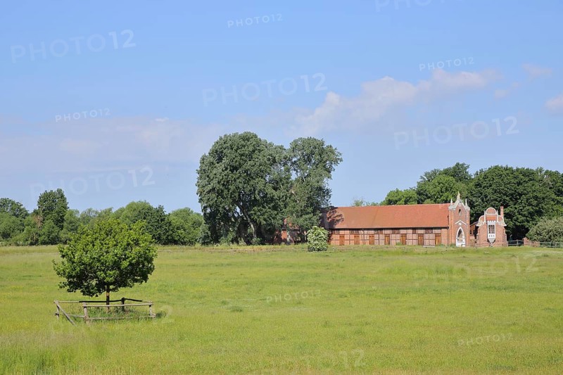 UNESCO Luisium, neo-Gothic stud farm, meadow, field, Dessau-Wörlitz Garden Kingdom, Dessau, Dessau-Roßlau, Saxony-Anhalt, Germany
