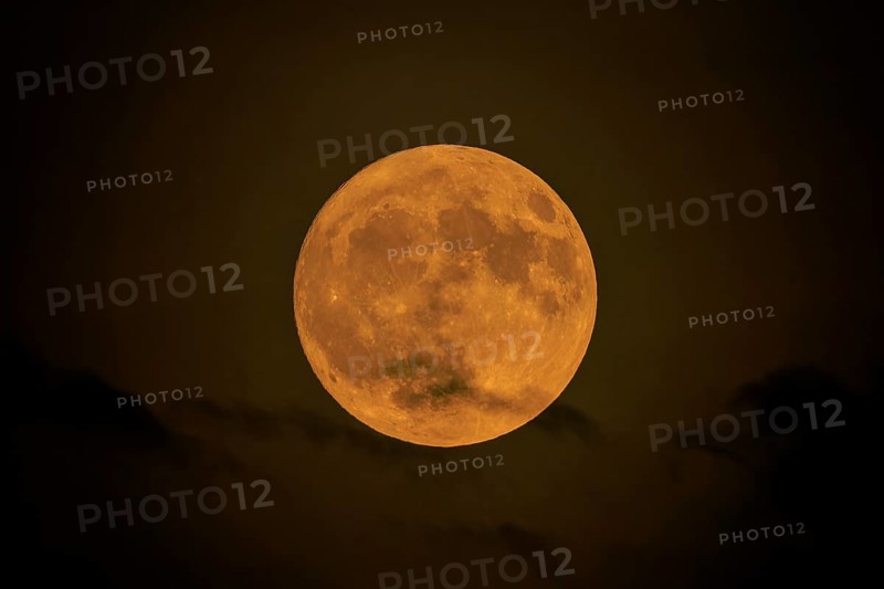 Yellow full moon shines calmly in the nightly darkness, full moon, strawberry moon 2025, Germany