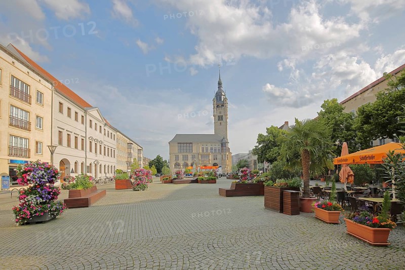 Town hall built in 1901 and floral decoration, town hall square, tower, Dessau, Dessau-Roßlau, Saxony-Anhalt, Germany