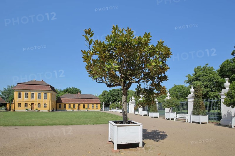 Rococo palace, inner courtyard, Mosigkau, Dessau-Wörlitz Garden Kingdom, Dessau-Roßlau, Saxony-Anhalt, Germany
