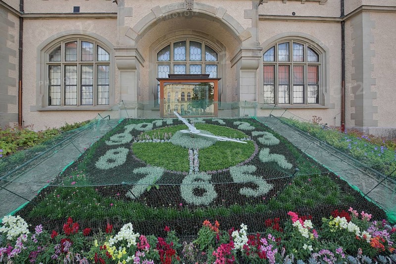 Flower clock made of blooming flower-bed with flower bed, garden art, clock face, information board with text, inscription, town hall, Bernburg, Saxony-Anhalt, Germany