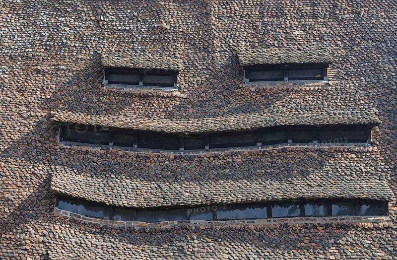 A shingle roof with windows, salt house, Wissembourg, Alsace, France