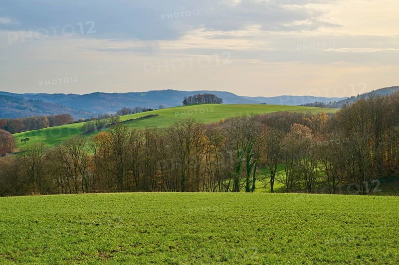 Hilly landscape with green fields and trees under a cloudy sky, Winterkasten, Lindenfels, Bergstrasse district, Odenwald, Hesse, Germany