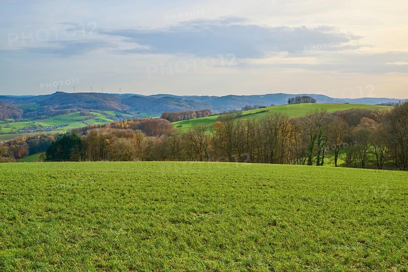 Hilly green landscape with trees and wind turbines on the horizon, Winterkasten, Lindenfels, Bergstrasse district, Odenwald, Hesse, Germany