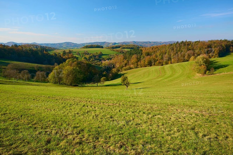 Wide hills with green meadows and autumnal trees under a clear blue sky, Vöckelsbach, Mörlenbach, Bergstrasse district, Odenwald, Hesse, Germany