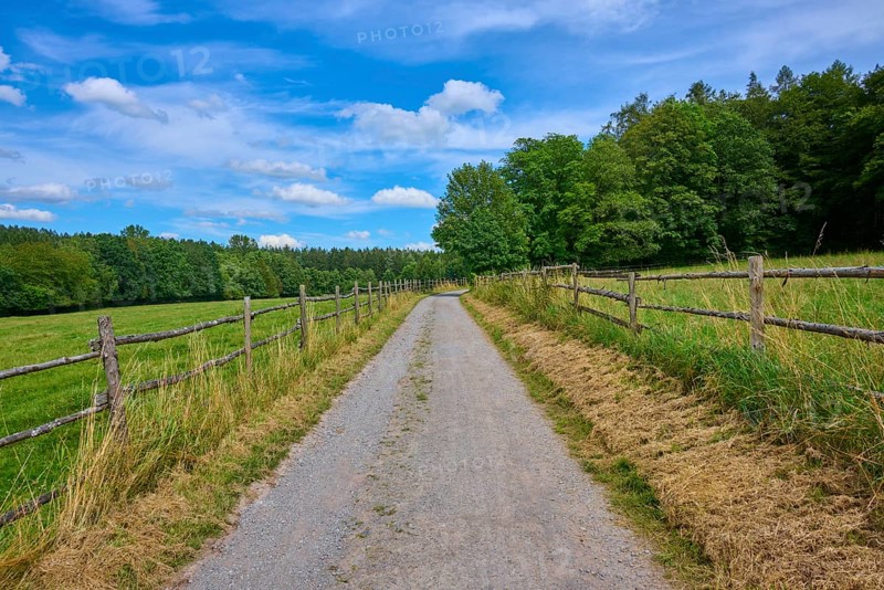 Straight country lane flanked by meadows and wooden fences, leading into a dense tree line under a blue sky, Mülben, Waldbrunn, Neckar-Odenwald-Kreis, Odenwald, Baden-Württemberg, Germany