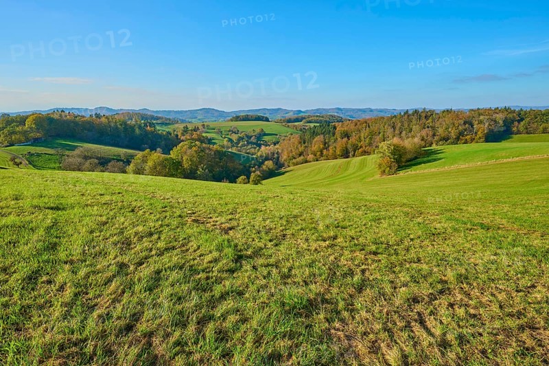 Wide green hills and meadows that create a quiet and rural atmosphere, Vöckelsbach, Mörlenbach, Bergstrasse district, Odenwald, Hesse, Germany