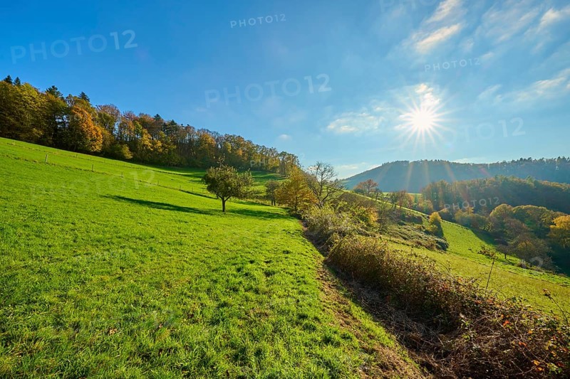 Bright green hills under a radiant sun and clear sky, Vöckelsbach, Mörlenbach, Bergstrasse district, Odenwald, Hesse, Germany