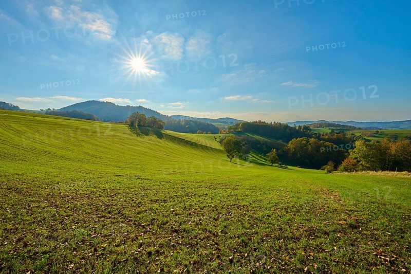 Wide green meadows under a bright sun and clear sky for a natural, peaceful atmosphere, Vöckelsbach, Mörlenbach, Bergstrasse district, Odenwald, Hesse, Germany