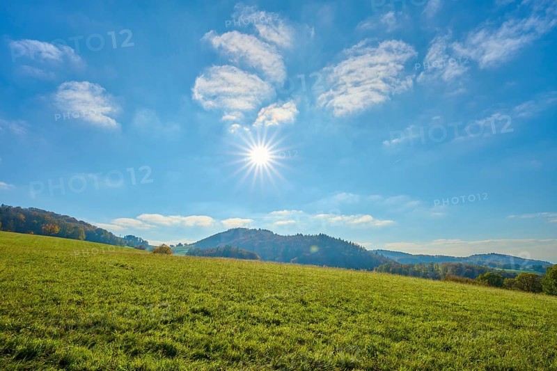 Wide meadow landscape under a bright sun and blue sky, Vöckelsbach, Mörlenbach, Bergstrasse district, Odenwald, Hesse, Germany