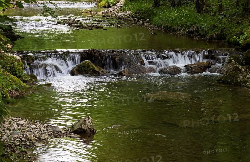 Small waterfall, Wangauer Ache flows through a forest, Mondseeland, Salzkammergut, Upper Austria, Austria