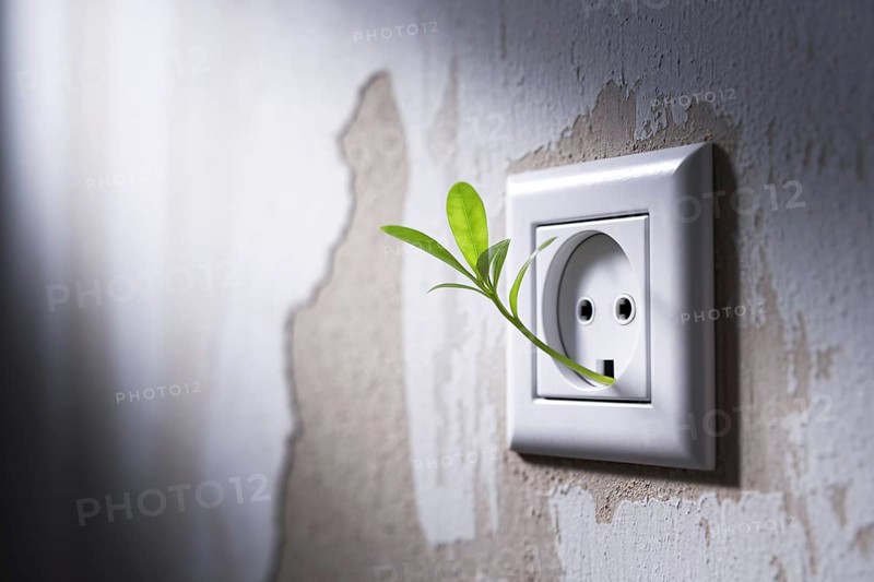European power outlet with green leaf sprout. A visual metaphor for sustainable electricity and green energy innovation.. Generative ai, AI generated