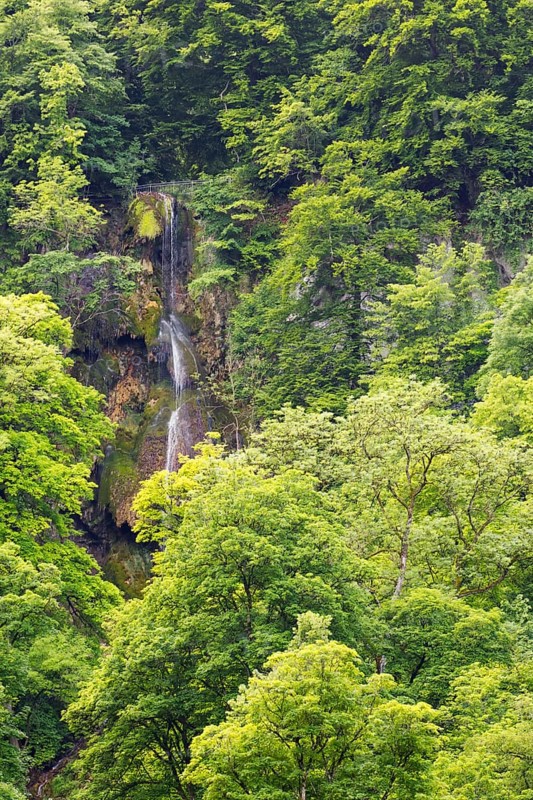 The Urach waterfall, which flows through a dense, green forest, framed by trees, Bad Urach