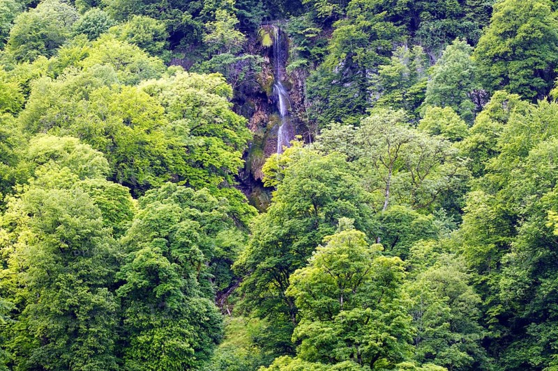 A waterfall (Urach waterfall) in the middle of a dense, green forest with surrounding hills, Bad Urach