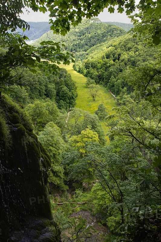 View of a green valley (Maisental) surrounded by dense forests and rolling hills, Bad Urach