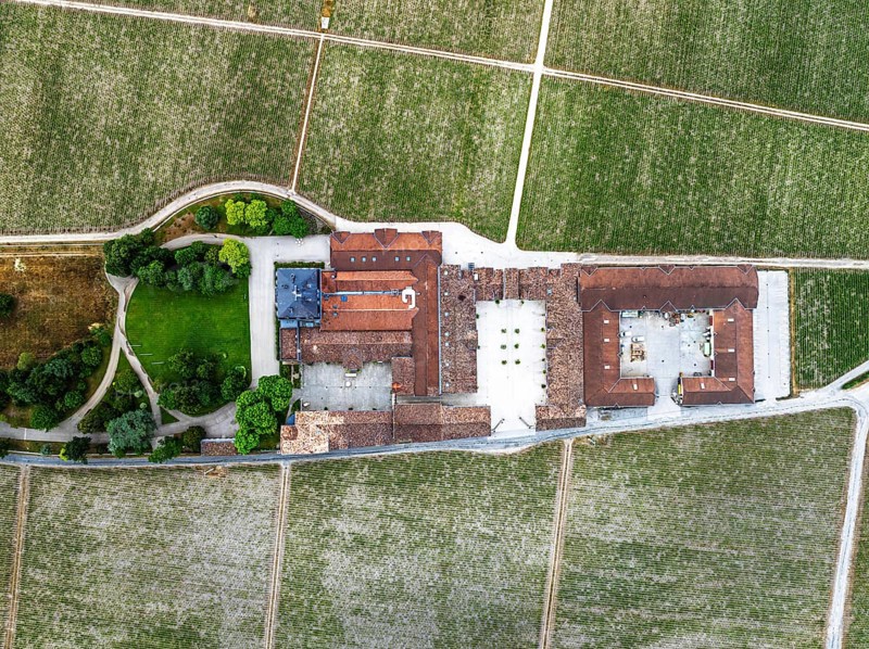 Top Down over Chateau Pontet-Canet Vineyard and grape fields around Pauillac and Gironde Estuary from a drone, Bordeaux, Gironde, Nouvelle-Aquitaine, France
