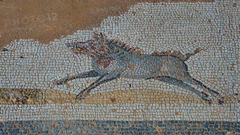 Ancient mosaic depicting a running boar, Archaeological Site, Western Excavation, Kos Town, Kos, Dodecanese, Greek Islands, Greece
