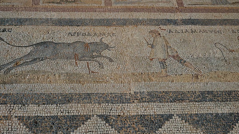 Ancient mosaic depicting a man approaching a charging bull, Archaeological Site, Western Excavation, Kos Town, Kos, Dodecanese, Greek Islands, Greece
