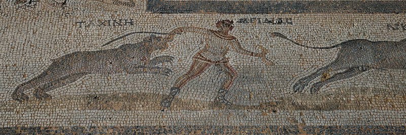 Mosaic from antiquity showing a man fighting two lions, Archaeological Site, Western Excavation, Kos Town, Kos, Dodecanese, Greek Islands, Greece