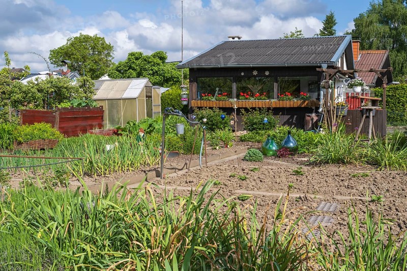 Garden shed with flower boxes in allotment garden, allotment garden, greenhouse, garden, spring, Kamen, Ruhr area, North Rhine-Westphalia, Germany