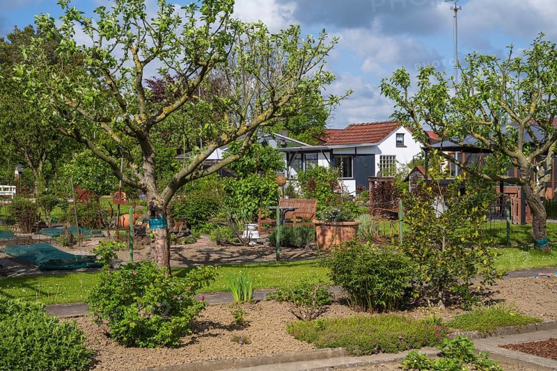 Garden house and fruit trees in allotment garden, allotment garden, garden, spring, Kamen, Ruhr area, North Rhine-Westphalia, Germany