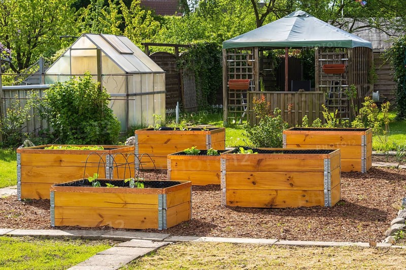 Raised beds in the garden, greenhouse, wooden boxes, allotment garden, spring, Kamen, North Rhine-Westphalia, Germany